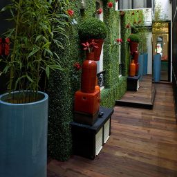 Terrace Joyce