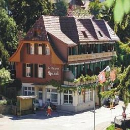 Alpenblick Heiligenschwendi 