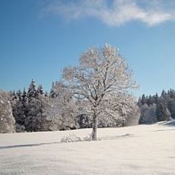 Vue Le Chalet
