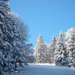 Vue Le Chalet
