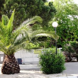 Environnement Kyriad Montpellier Sud Lattes