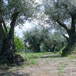 Jardin Villa Vecchia