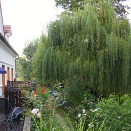 View Naturidyllhotel Landhofmühle Fotos
