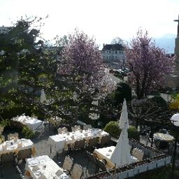 Terrace Weinhalde Fotos