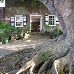 Vue extérieure Montpelier Plantation