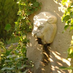 Jardin Villa Glanum