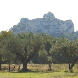 Environnement Villa Glanum