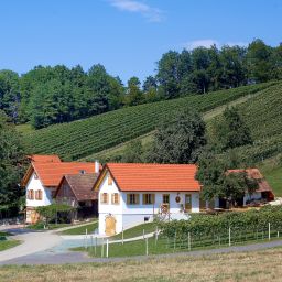  Kirchenwirt Mirth Gasthof Fotos