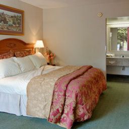 Zimmer Days Inn Asheville/Mall