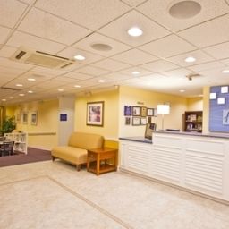 Halle Holiday Inn Express Hotel & Suites BONITA SPRINGS