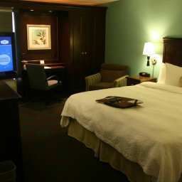 Room Hampton Inn HoustonNorthwest