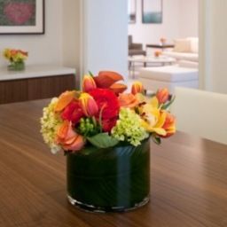 Suite InterContinental SUITES HOTEL CLEVELAND Fotos
