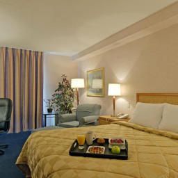 Habitación Comfort Inn Brandon