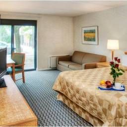 Habitación Comfort Inn Brandon