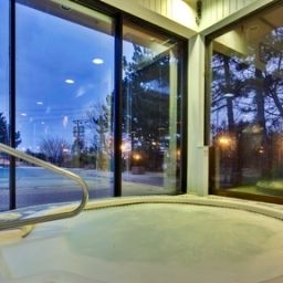 Piscine Holiday Inn TORONTO-INT`L AIRPORT