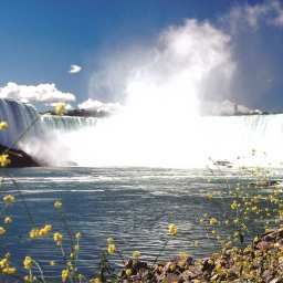 Hampton Inn by Hilton Niagara FallsAt The Falls