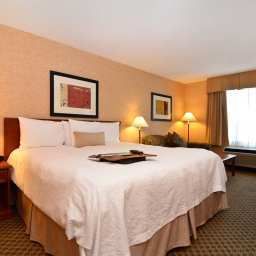 Camera Hampton Inn & Suites® Langley-Surrey