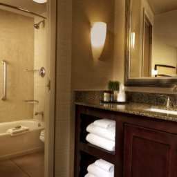 Suite Embassy Suites Fort Worth  Downtown