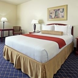 Chambre Holiday Inn Express BRYANT