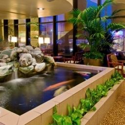 Halle Holiday Inn TORRANCE