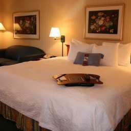 Habitación Hampton Inn AlexandriaPentagon South VA