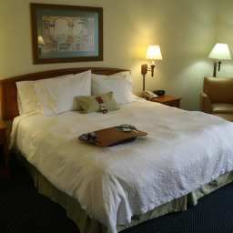 Zimmer Hampton Inn Commercial BlvdFt Lauderdale