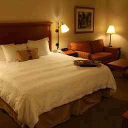 Zimmer Hampton Inn Laredo