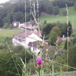 Vue extérieure Zur Engelsburg