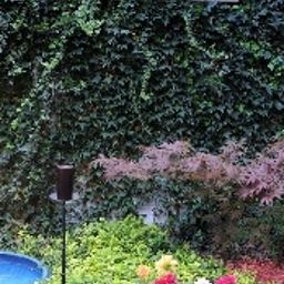 Garden Art Hotel Praha