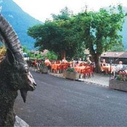 Restaurante Steinbock Gasthaus