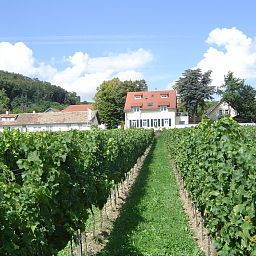 Annaberg Bad Dürkheim