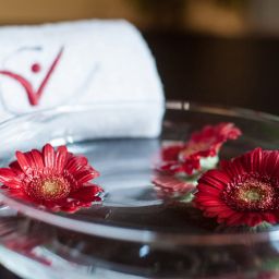  centrovital SPA & Sports