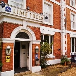 Lime Trees Northampton