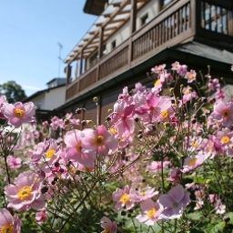 Garden Zum Reschen