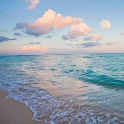 Holiday Inn MIAMI BEACH-OCEANFRONT Miami Beach