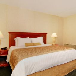 Zimmer BEST WESTERN PLUS Brampton