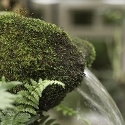 Jardin Virxe da Cerca Fotos
