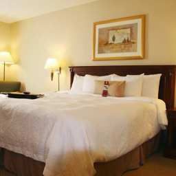 Chambre Hampton Inn  Suites by Hilton Toronto Airport