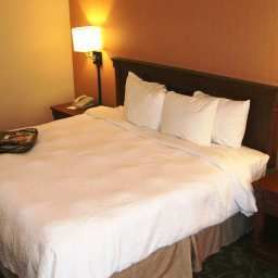 Chambre Hampton Inn  Suites by Hilton Toronto Airport
