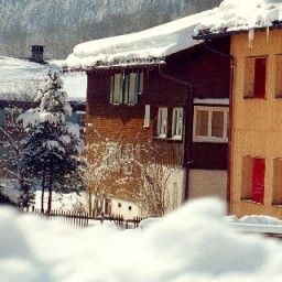 Taube Gasthof Bizau 