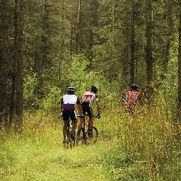  Stiemerheide
