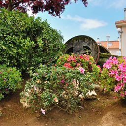 Jardin Castro