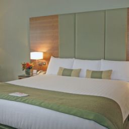 Suite Crowne Plaza LONDON DOCKLANDS