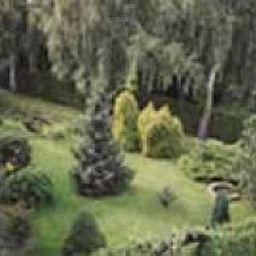 Jardín Zum Grünen Wald Fotos
