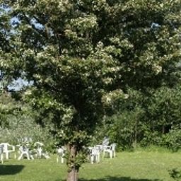 Jardin Friesenhaus