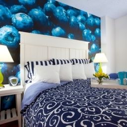 Habitación Hotel Indigo HOUSTON AT THE GALLERIA Fotos