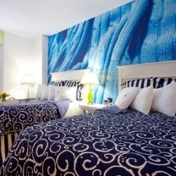 Habitación Hotel Indigo HOUSTON AT THE GALLERIA Fotos