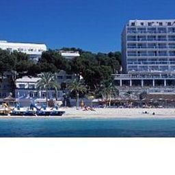 Flamboyan - Caribe Magaluf