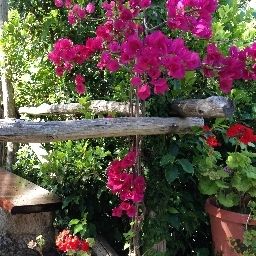 Jardín Casa Mazzola
