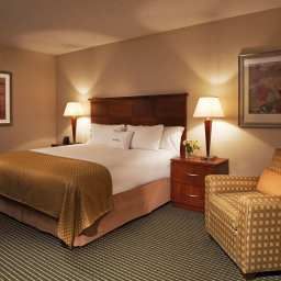 Pokój DoubleTree by Hilton Minneapolis - Park Place